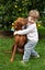 Quest the Vizsla is looking for a New Home! Carousel 3