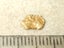 $1 RESERVE - GOLD NUGGET with Pyrex Vial Carousel 1
