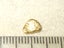 $1 RESERVE - GOLD NUGGET with Pyrex Vial Carousel 1