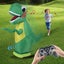 Inflatable Remote Control Dinosaur Carousel 7