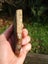 Green Fuchsite obay stone NZ carving slab amazing colour Carousel 3