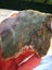 Green Fuchsite obay stone NZ carving slab amazing colour Carousel 8