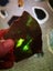 Green Fuchsite obay stone NZ carving slab amazing colour Carousel 1