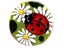 DIY Needlework Unfinished Crocheting Rug Yarn Cushion Mat Ladybird Flowers Carousel 1