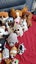 Bulk Ty Toys Carousel 5