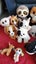 Bulk Ty Toys Carousel 6