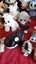 Bulk Ty Toys Carousel 3