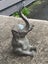Collection of 5 Brass Elephants (Trunk up) Carousel 7