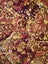 Axminster carpet rug Carousel 2