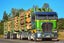 Stuart Drummond Transport Carousel 2