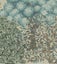 "The Brook" Designer Wallpaper by William Morris Carousel 5