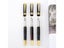New Luxury Brand Noble Golden Silver Stainless Fountain Pen Hot Sale Nib Gift Carousel 6