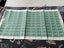 $1 Reserve!! Full Sheet 1935 Jubilee Carousel 1