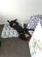 Please Help Porter - Loving Family Dog Needs a New Home Carousel 2