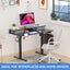 Electric Standing Desk Carousel 4