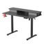 Electric Standing Desk Carousel 14