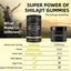 Himalayan Shilajit Gummies Carousel 4