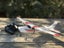 Cessna-182 Rc Plane Carousel 2