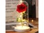 6 Colour Beauty And The Beast Red Rose In A Glass Dome On A Wooden Base For Carousel 1