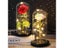 6 Colour Beauty And The Beast Red Rose In A Glass Dome On A Wooden Base For Carousel 3