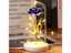 6 Colour Beauty And The Beast Red Rose In A Glass Dome On A Wooden Base For Carousel 4