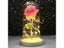 6 Colour Beauty And The Beast Red Rose In A Glass Dome On A Wooden Base For Carousel 5