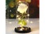 6 Colour Beauty And The Beast Red Rose In A Glass Dome On A Wooden Base For Carousel 7