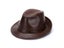 Fedora Hat Carousel 1