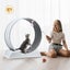 Cat Wheel Running Toy Exerciser Carousel 2