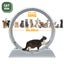 Cat Wheel Running Toy Exerciser Carousel 4