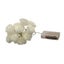 My Decorations 20 White Rose 3D Fairy Lights 3M String Battery (Aa) Indoor & Out Carousel 6