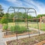 New Garden Frame Trellis Climbing Stakes Supports Kits *Hot SALE Carousel 3