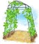 New Garden Frame Trellis Climbing Stakes Supports Kits *Hot SALE Carousel 6