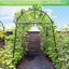 New Garden Frame Trellis Climbing Stakes Supports Kits *Hot SALE Carousel 7