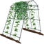 New Garden Frame Trellis Climbing Stakes Supports Kits *Hot SALE Carousel 10