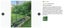 New Garden Frame Trellis Climbing Stakes Supports Kits *Hot SALE Carousel 17