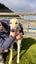 Mia- Sweet and Gentle Cat Trainable Greyhound Girl Carousel 3