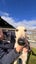 Mia- Sweet and Gentle Cat Trainable Greyhound Girl Carousel 4