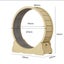 Cat Wheel Carousel 5