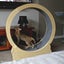 Cat Wheel Carousel 6