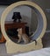 Cat Wheel Carousel 7