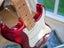Fender American Special Stratocaster Carousel 10
