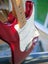 Fender American Special Stratocaster Carousel 12