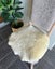 Short Wool Half Sheepskin Rug Carousel 5