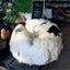 Lhasa Longwool Sheepskin Bean Bag Natural Carousel 3
