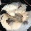 Lhasa Longwool Sheepskin Bean Bag Natural Carousel 4