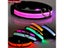 LED Dog Collar Luminous Night Safety Flashing Glowing Nylon Collars For Small Carousel 4