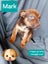 Gorgeous Pit Pei Terrier X Mastiff mix Pups Carousel 8