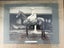 FRAMED PHOTOGRAPH SCION RACEHORSE PICTURE Carousel 2