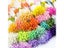 Random Mix 900pcs 1mm Double Heads Mini Pearl Flower Stamen Pistil For DIY Carousel 6